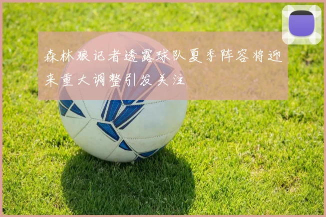 森林狼记者透露球队夏季阵容将迎来重大调整引发关注