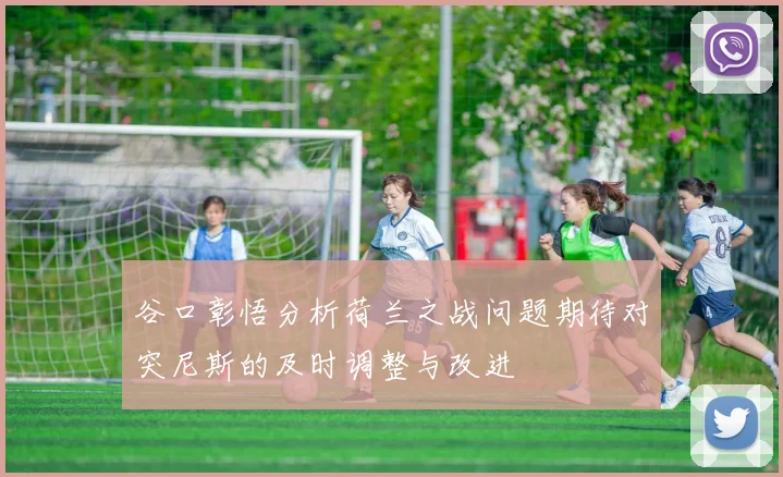 谷口彰悟分析荷兰之战问题期待对突尼斯的及时调整与改进