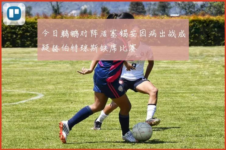 今日鹈鹕对阵活塞锡安因病出战成疑赫伯特琼斯缺席比赛